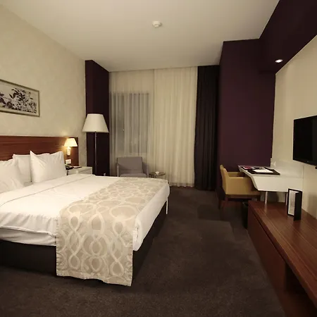 Ramada Plaza By Wyndham Istanbul Airport 5*