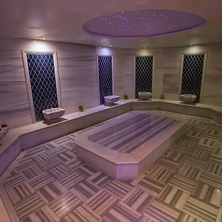 Otel Ramada Plaza By Wyndham Istanbul Airport Gebze