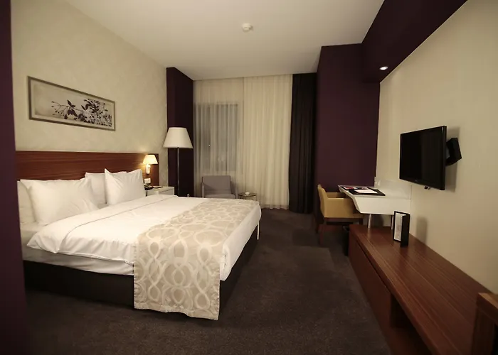 Ramada Plaza By Wyndham Istanbul Airport