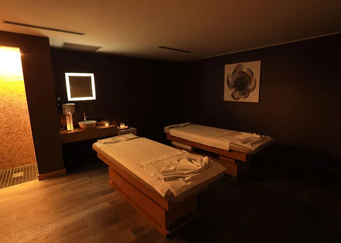 Ramada Plaza By Wyndham Istanbul Airport 5*